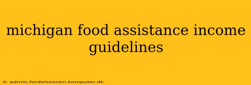 michigan food assistance income guidelines