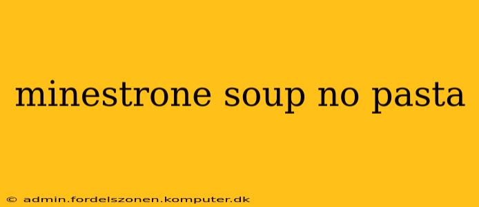 minestrone soup no pasta