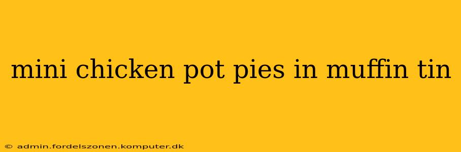 mini chicken pot pies in muffin tin