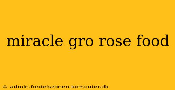 miracle gro rose food