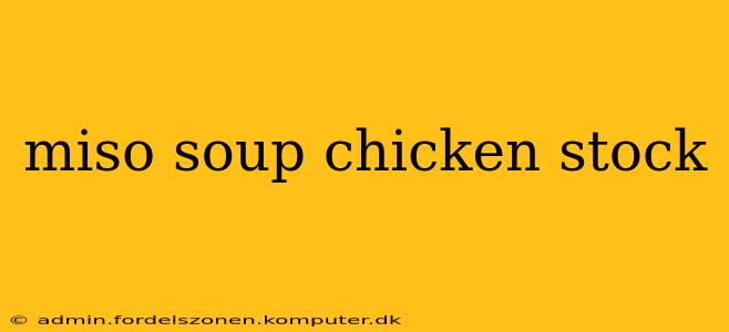 miso soup chicken stock