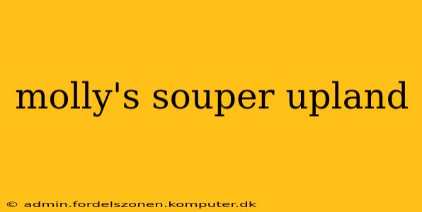 molly's souper upland