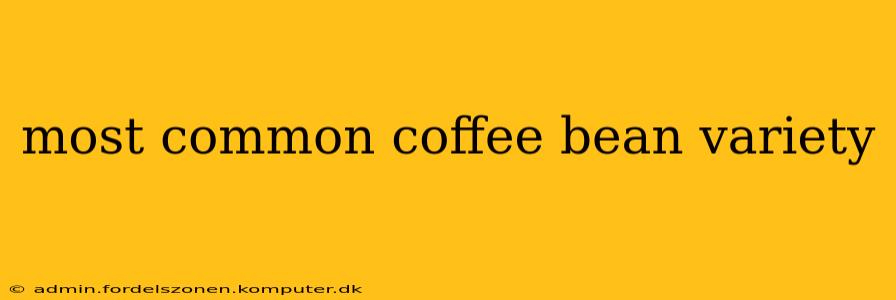most common coffee bean variety