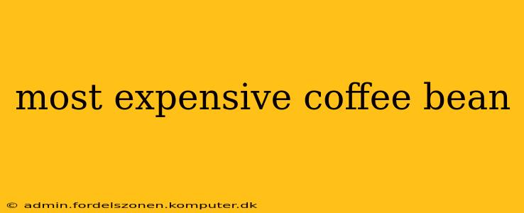 most expensive coffee bean