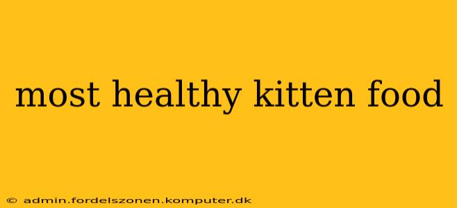 most healthy kitten food