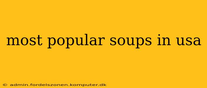 most popular soups in usa