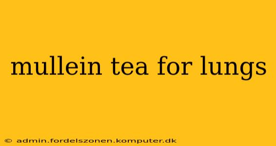 mullein tea for lungs