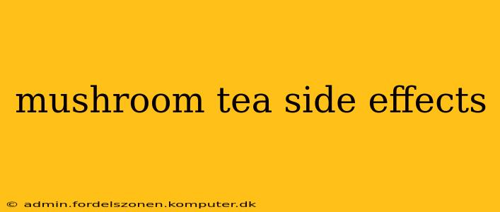 mushroom tea side effects
