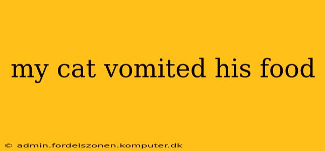 my cat vomited his food