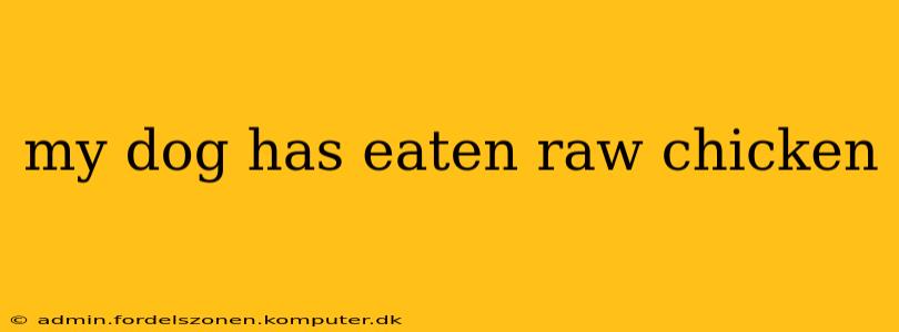 my dog has eaten raw chicken