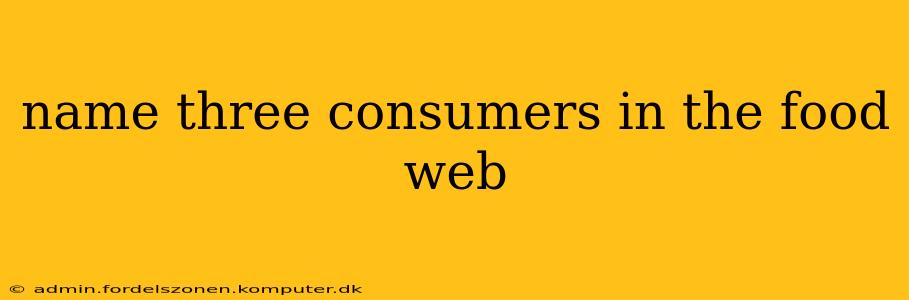 name three consumers in the food web