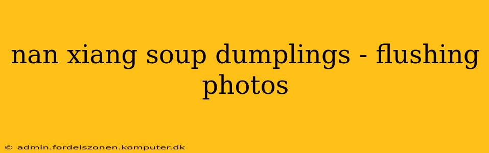 nan xiang soup dumplings - flushing photos