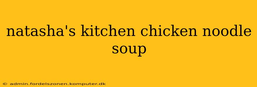 natasha's kitchen chicken noodle soup