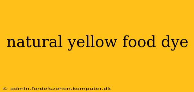 natural yellow food dye