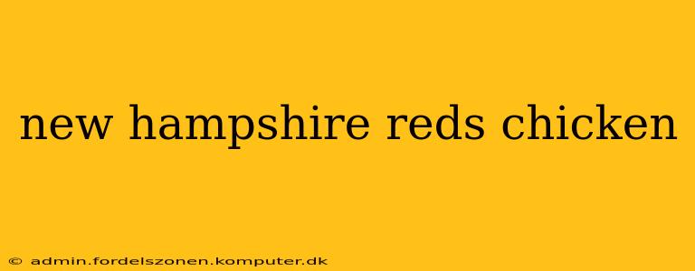 new hampshire reds chicken