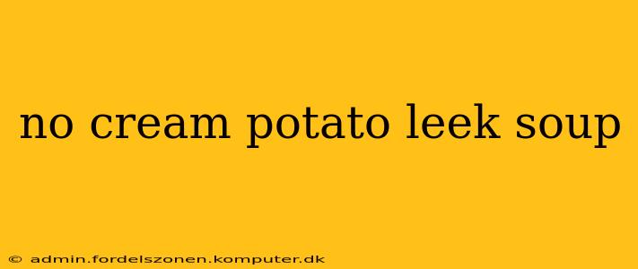 no cream potato leek soup