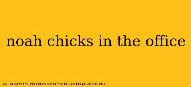 noah chicks in the office