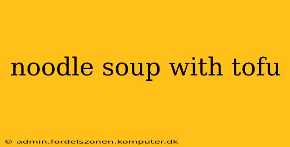 noodle soup with tofu