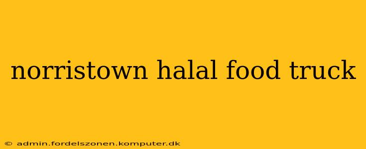 norristown halal food truck
