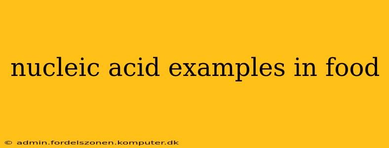 nucleic acid examples in food