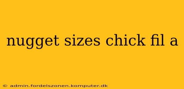 nugget sizes chick fil a