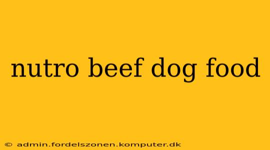 nutro beef dog food