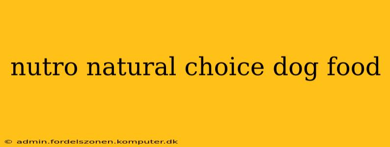 nutro natural choice dog food
