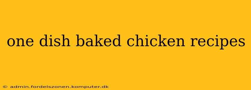 one dish baked chicken recipes