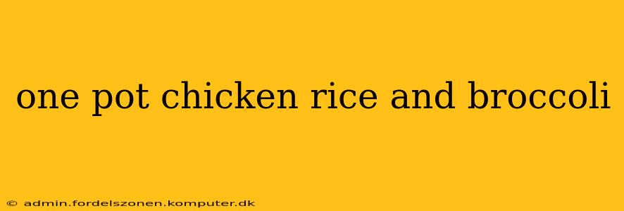one pot chicken rice and broccoli