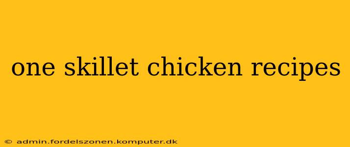 one skillet chicken recipes