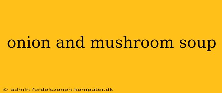 onion and mushroom soup
