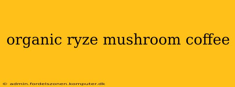 organic ryze mushroom coffee