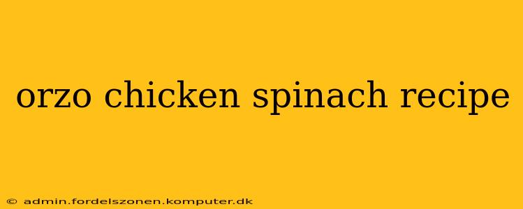 orzo chicken spinach recipe