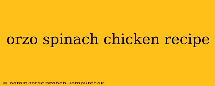 orzo spinach chicken recipe