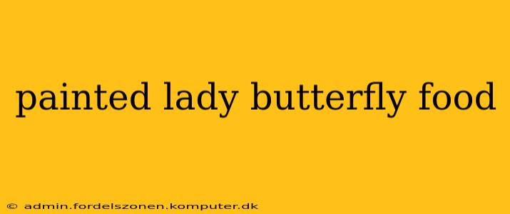 painted lady butterfly food