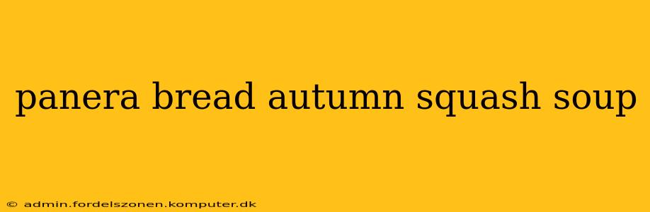 panera bread autumn squash soup