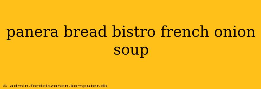 panera bread bistro french onion soup