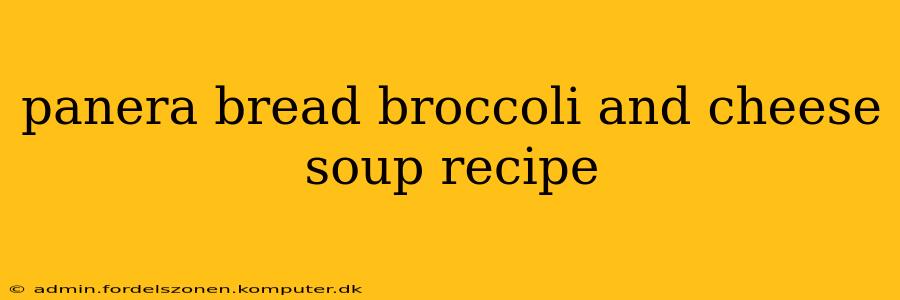 panera bread broccoli and cheese soup recipe