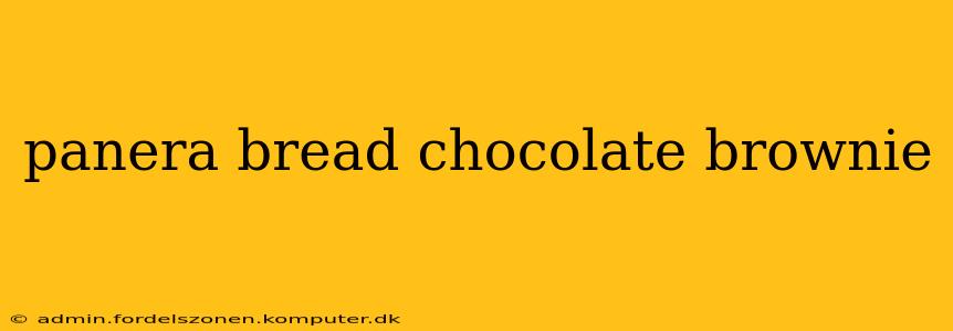 panera bread chocolate brownie