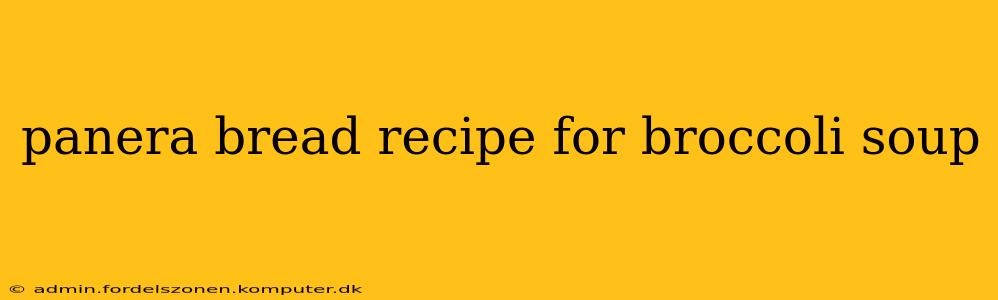 panera bread recipe for broccoli soup