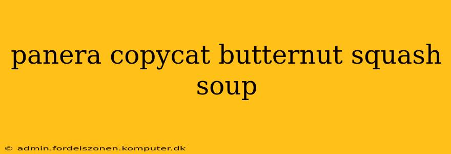 panera copycat butternut squash soup