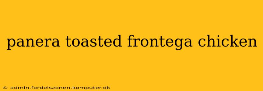 panera toasted frontega chicken