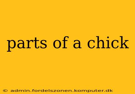parts of a chick