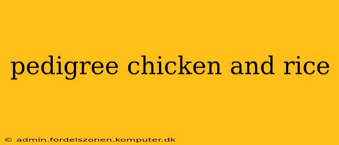 pedigree chicken and rice