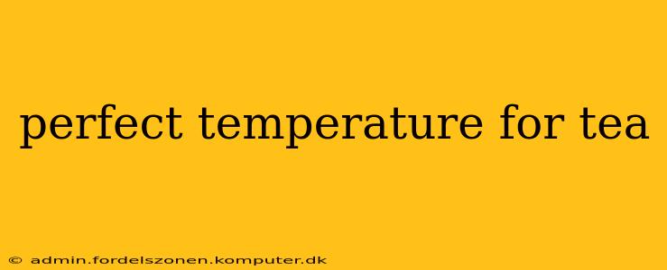 perfect temperature for tea