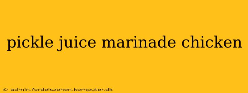 pickle juice marinade chicken