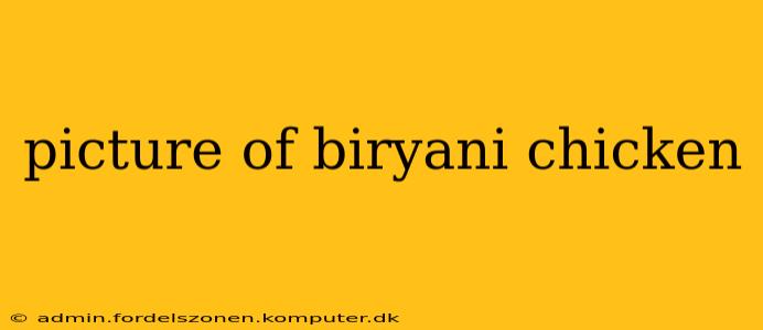 picture of biryani chicken