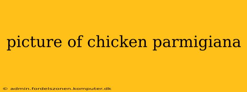 picture of chicken parmigiana