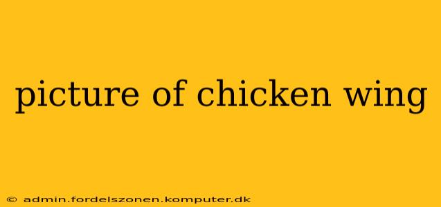 picture of chicken wing