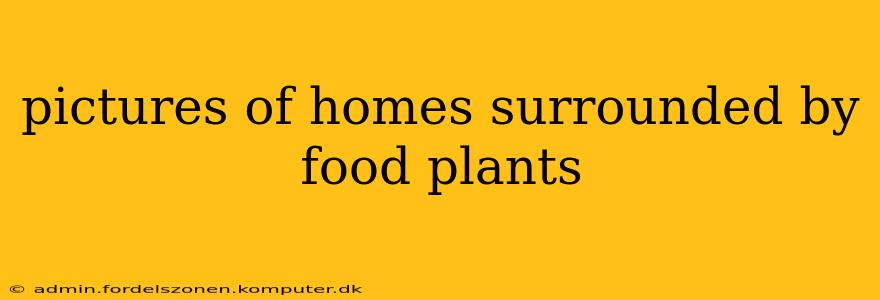 pictures of homes surrounded by food plants